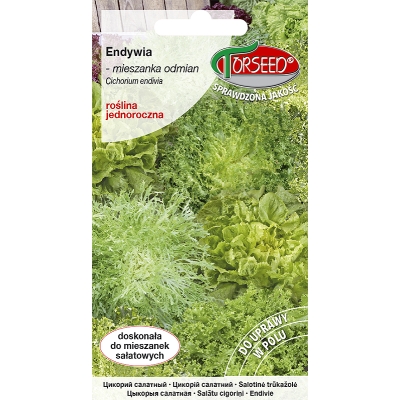 ENDYWIA Mieszanka Odmian Nasiona moc witamin